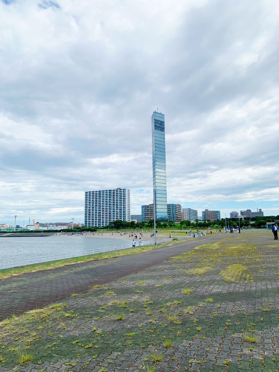 海岸清掃